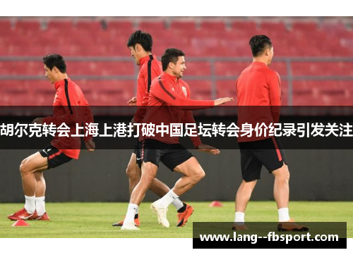 胡尔克转会上海上港打破中国足坛转会身价纪录引发关注